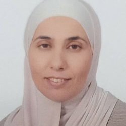 الصفحة الرئيسية